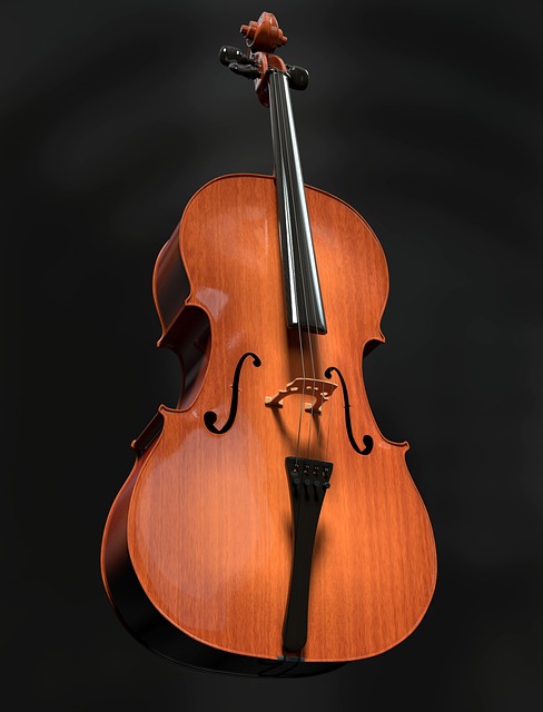 violoncelle